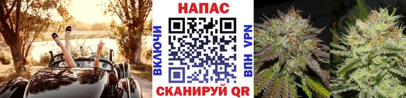 мориарти телеграм  ОМГ ОМГ зеркало  Кореновск  Каннабис тримм 